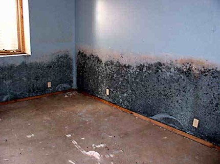 Eco Pro Restoration business image in Pikesville, MD